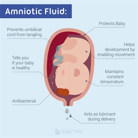 can amniotic fluid leak and then stop|Leaking Amniotic Fluid: Signs, Causes, and。